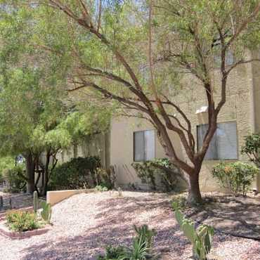Georgia Avenue Apartments Boulder City Nv 89005