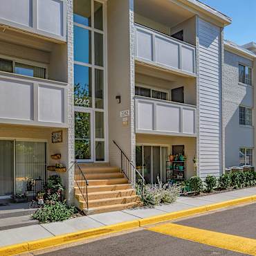 Apartments For Rent In Baileys Crossroads Va 163 Rentals Apartmentguide Com