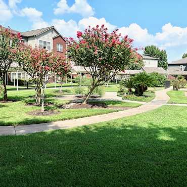 Lone Star Living Senior Living Apartments Houston Tx 77031
