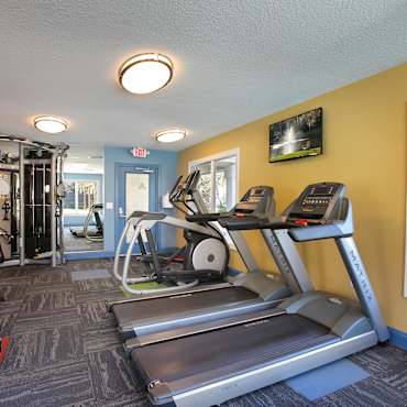 Apartments For Rent In Odessa Fl 292 Rentals Apartmentguide Com