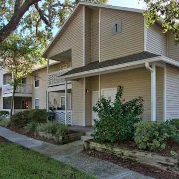 Tampa Woods Apartments Tampa Fl 33634
