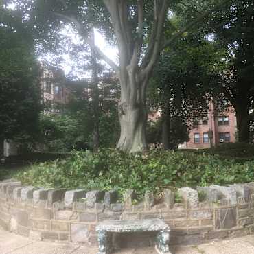 Marchwood Apts Apartments - Philadelphia, PA 19144