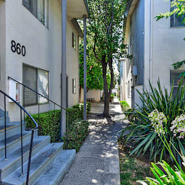 Apartments For Rent In San Mateo Ca 277 Rentals Apartmentguide Com