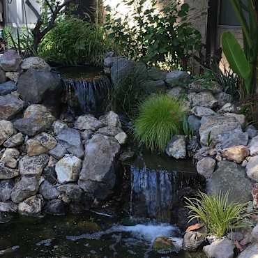 Olive Tree Apartments Norwalk Norwalk Ca 90650