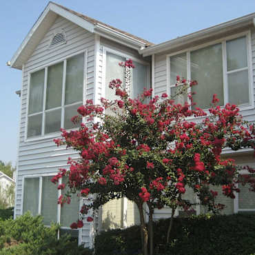 Trinity Lakes Apartments Cordova Tn 38016