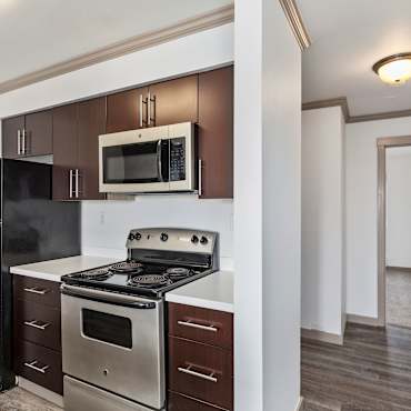 Elan 41 Apartments Seattle Wa 98116