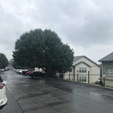The Village Chateau South Apartments - Fairmont, WV 26554
