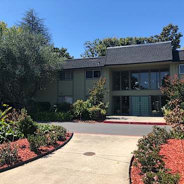 Olive Tree Apartments Sunnyvale Ca 94087