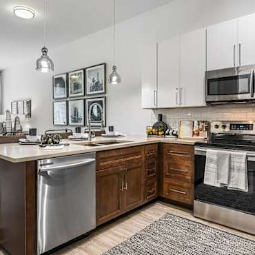 Cortland Vesta Apartments - Birmingham, AL 35205