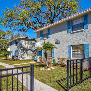Apartments For Rent In University Of South Florida Fl 255 Rentals Apartmentguide Com