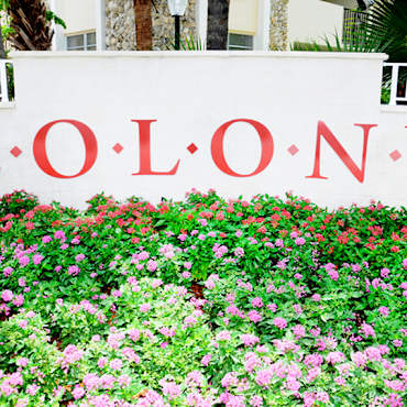 Colony At Dadeland Apartments Miami Fl 33156