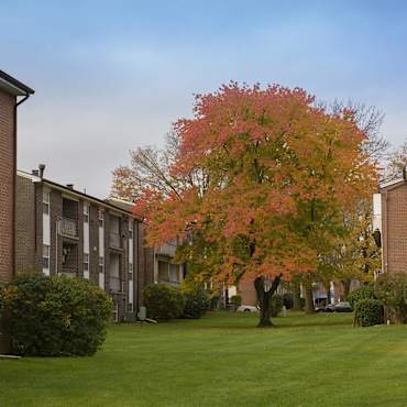 209 Pickwick Apartments Baltimore Md 21209