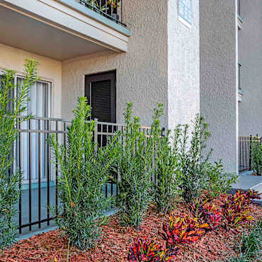 Hanley Place Apartments Tampa Fl 33634 Linkhorn place apartments are affordable apartments for rent in virginia beach oceanfront.