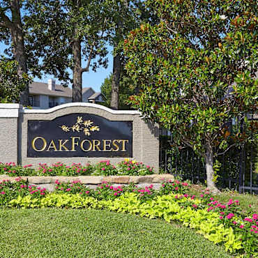 Oak Forest Apartments Lewisville Tx 75067