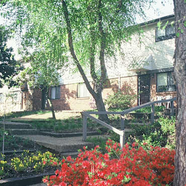 Plum Tree Apartments Memphis Tn 38115