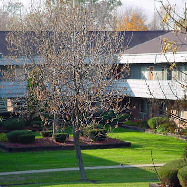 Cedar Ridge Apartments Medina Oh 44256