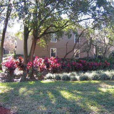 The Park At Orvieto Apartments Tampa Fl 33612