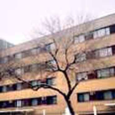 Edgewater 1 Bedroom Apartments For Rent Chicago Il 76 Rentals