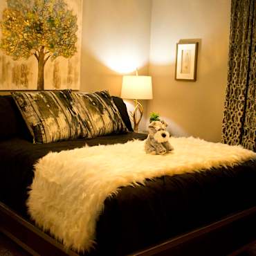 Westwind Apartments Denton Tx 76205