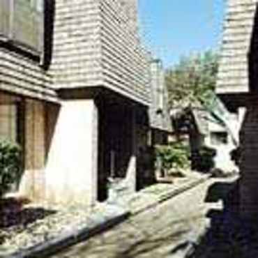 77 Cozy Addington apartments austin tx Prices