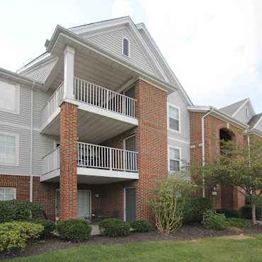ivy hills place apartments
