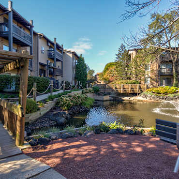 Forest Cove Apartments Mount Prospect Il 60056