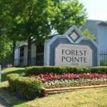 Forest Pointe Apartments Houston Tx 77067