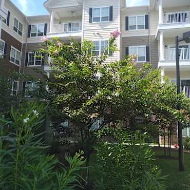 The Crossings At Independence Apartments Virginia Beach