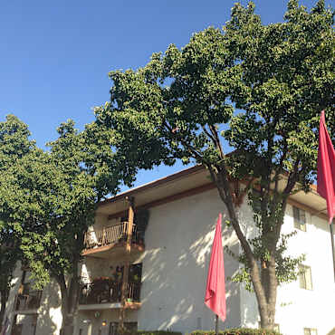 Roseville Commons Senior Living Apartments Roseville Ca