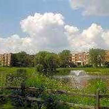 Colonial Village Apartments Itasca Il 60143