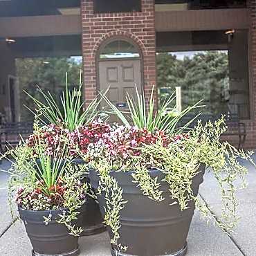 Dover Hills Apartments Kalamazoo Mi 49009