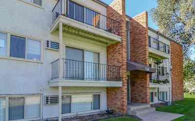 pet friendly apartments for rent pembroke ontario