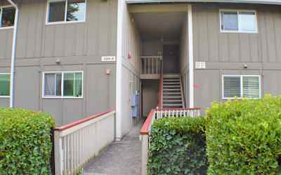 hotels in bremerton wa that allow pets