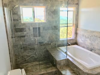 Primary Bathroom shower and tub 2.jpg