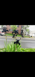 135 2nd St - Bordentown, NJ
