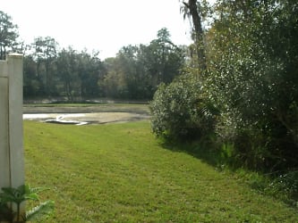 4121 Winding River Way - Land Olakes, FL
