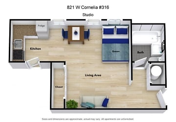 821 W Cornelia Ave unit 316 - Chicago, IL