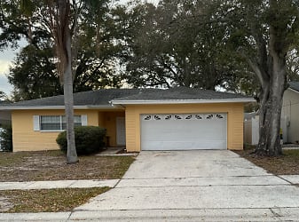 1808 Grove Valley Ave - Palm Harbor, FL