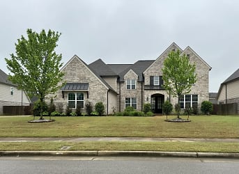 493 Fallen Timbers Cove - Collierville, TN