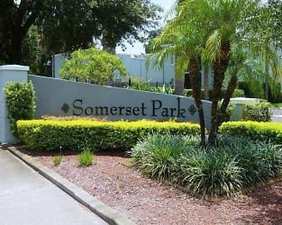 2814 Somerset Park Dr #203 - Tampa, FL