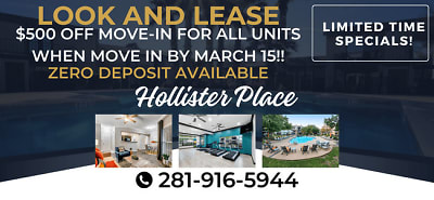 Hollister Place Apartments - Houston, TX