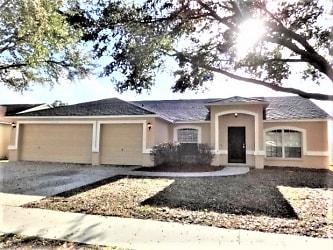 11234 Andy Drive - Riverview, FL