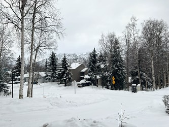18915 Sarichef Loop - Anchorage, AK