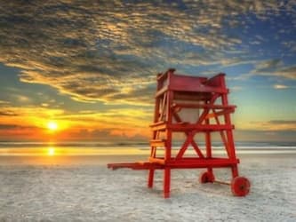 1104 Plover Pl - New Smyrna Beach, FL