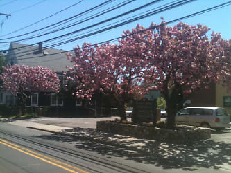 Cove Road Entrance with blooming trees.JPG