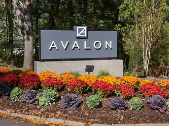 Avalon Burlington Apartments - Burlington, MA