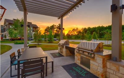 8455 Creekside Green Dr unit CP1 - The Woodlands, TX