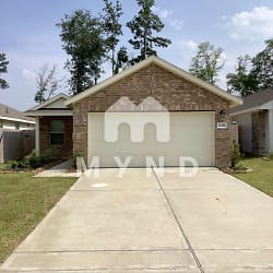22380 Sonora River Trce - New Caney, TX
