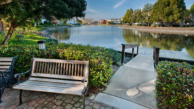 Riva Terra Apartments At Redwood Shores - undefined, undefined