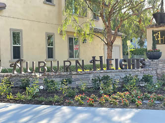 312 Auburn Heights Ln - Anaheim, CA